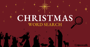Christmas Word Search Game