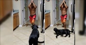 Dramatic Dog Puts On The Best Show With Owner