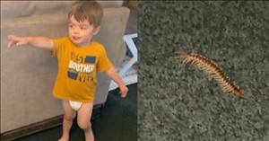 Little Boy's 'Cute Animal' Discovery Has Mom in Stitches