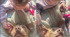 This Little Girl Pampers a Dog—and the Animal Absolutely Loves It