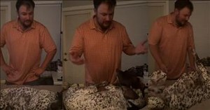 Man Hilariously Loses Bedtime Argument to Stubborn Dog Who Refuses to Move