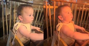 Child’s Priceless Reaction to Restaurant Experience Will Make Your Day