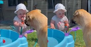 Toddler’s Reaction to Sharing a Hose with Dog is Too Cute to Miss