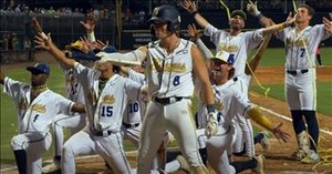 Savannah Bananas Step Up to the Plate for Foster Care With Heartfelt Support