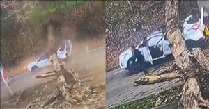 Woman Miraculously Walks Away After Tree Crashes Down on Her Car