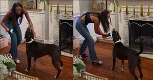This Singing Pup Nails Its Karaoke Moment Like a Pro
