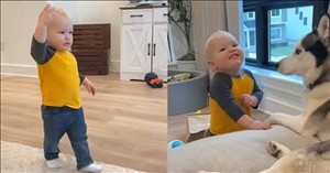 Child’s Hilarious Move to Get Dog’s Attention and Love is Sweet