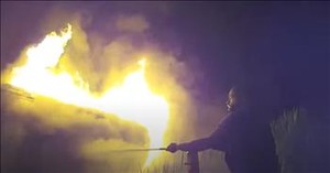 Brave Man Jumps into Action to Save Woman from Burning Car