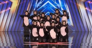 Group's Dancing Cat Routine on AGT is Purr-fect