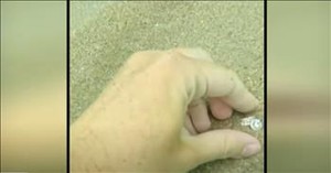 Wedding Ring Vanishes in the Ocean and What Happens Next Is Incredible