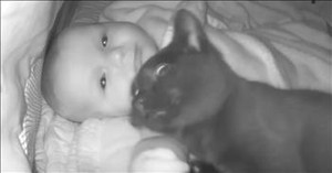 This Cat-Baby Duo Might Be the Cutest Pair You’ve Ever Seen