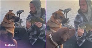Fisherman Reels in a Fish, Dog Delivers the Laughs