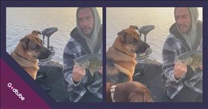 Fisherman Reels in a Fish, Dog Delivers the Laughs