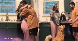 Golden Retriever’s Odd but Sweet Response When Owners Hug