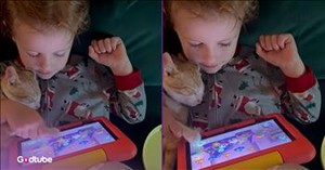 This Precious Moment Between a Little Boy and His Cat Will Warm Your Heart