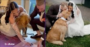You’ll Love How This Couple Involved Their Dog in Their Big Day