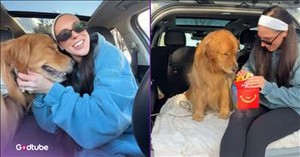 You’ll Melt Watching This Pup Enjoy Its Special Birthday Treat