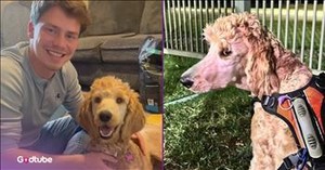 Couple Makes a Selfless Decision to Help an Injured Pup — and It’s Beautiful