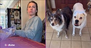 The Look These Pups Give Each Other During Her Performance Will Crack You Up