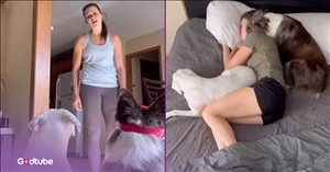 This Hysterical Video Captures Exactly What it's Like to Own a Dog