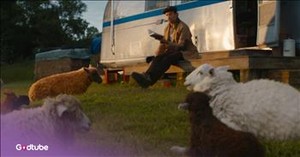 Animals Are on the Case in the Trailer for “The Sheep Detectives’