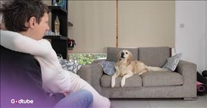 This Golden Retriever’s Hilarious Reaction to Its Owners Hugging