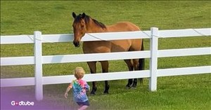 Toddler and Horse Share the Sweetest Moment 