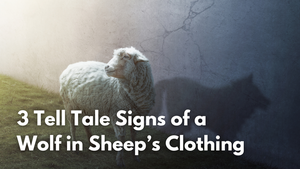 3 Tell Tale Signs of a Wolf in Sheep’s Clothing