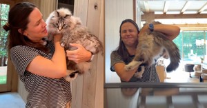 Jennifer Garner Takes Her Cat on a Sweet Tour in Adorable Video