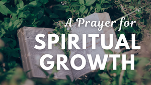 A Prayer to Cultivate Our Hearts for Spiritual Growth | Your Daily Prayer