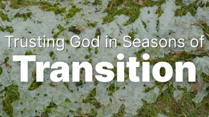Trusting God in Seasons of Transition | Your Nightly Prayer