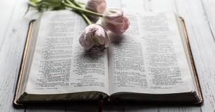8 Proverbs to Decrease Anxiety and Increase Peace