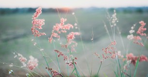 A Prayer to Be Patient with Your Progress - Your Daily Prayer - September 14