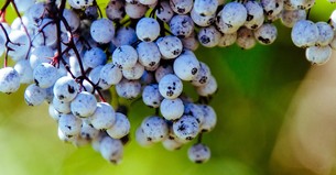 A Prayer of Gratitude for the Gift of Seasons - Your Daily Prayer - September 24