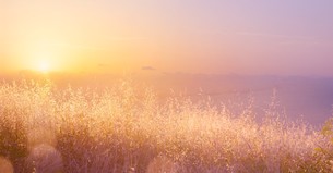 A Prayer to Hold Fast When a Close Relationship Changes - Your Daily Prayer - August 12