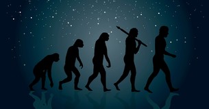 Evolution Is Going Nowhere