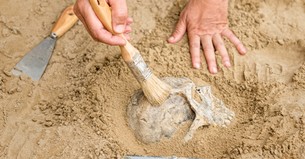 Trans Skeletons and “Just So Stories”