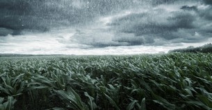 A Prayer for the One Who Is Afraid of God’s Glory and Power - Your Daily Prayer - June 11