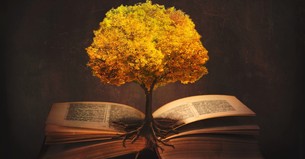 7 Reasons to Teach Biblical Creation in Your Church