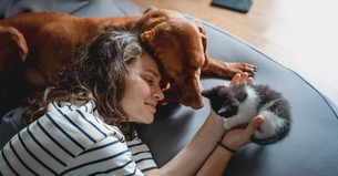 What Does God Teach Us through Our Pets?