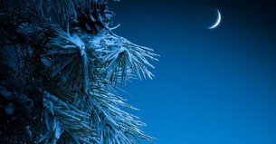 The God Who Keeps His Promises - Your Nightly Prayer - December 1st