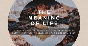 What Are We Searching for on Social Media?