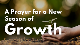 A Prayer for a New Season of Growth | Your Daily Prayer