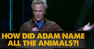 Brad Stine’s Hysterical Take on Adam Naming the Animals Is Pure Gold
