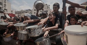 When Alice in Wonderland Meets Palestine