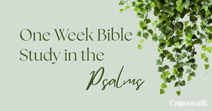 One Week Bible Study in Psalms