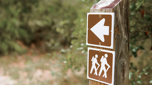 He Survived the Night With Prayers After Getting Lost On a Hike, Clinging to Jesus and His Faith