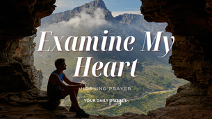 A Prayer for Self-Examination | Your Daily Prayer