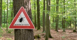 ER Visits Surge and Experts Urge Caution amid Record Tick Season