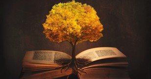 10 Things You Should Know about Original Sin